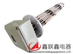 帶防爆頭法蘭加熱管WHPD-Ⅰ