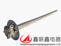 帶防爆頭法蘭加熱管WHPD-Ⅲ